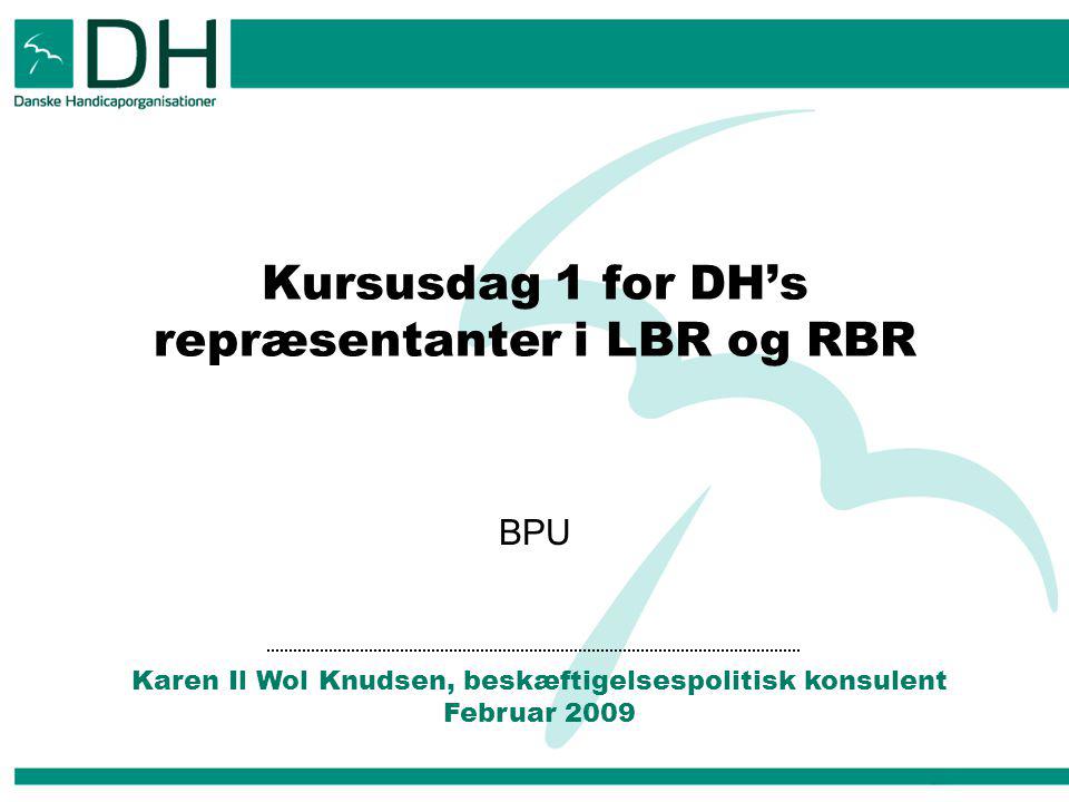 BPU Karen Il Wol Knudsen, beskæftigelsespolitisk konsulent Februar 2009 Kursusdag 1 for DH’s repræsentanter i LBR og RBR