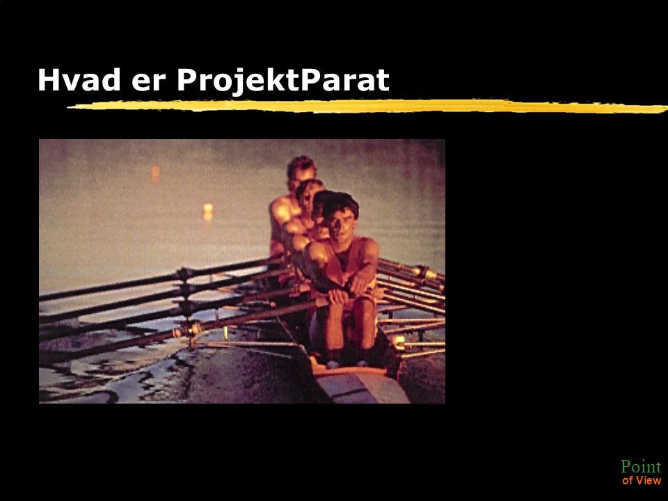 Point of View Hvad er ProjektParat