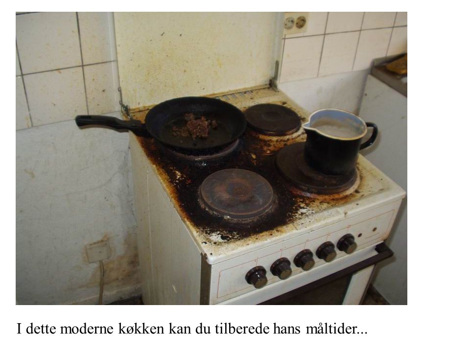 Ã
rets ungkarl leder efter livsledsager!. han søger en kvinde som ...
