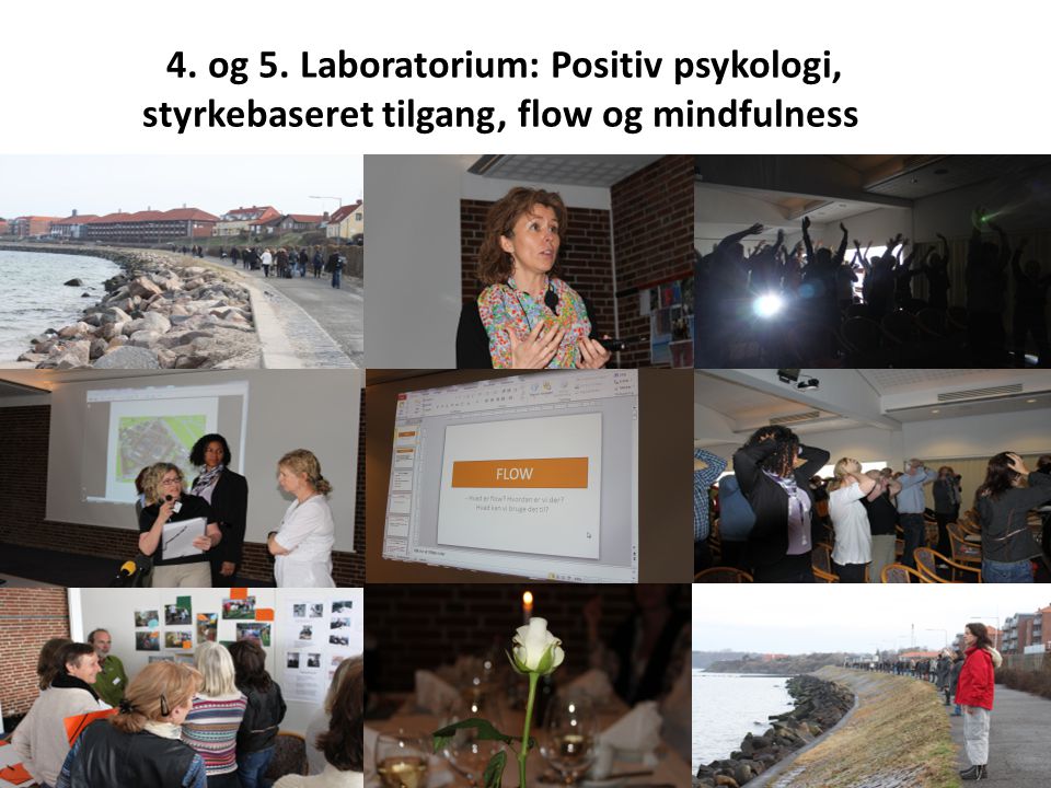 4. og 5. Laboratorium: Positiv psykologi, styrkebaseret tilgang, flow og mindfulness