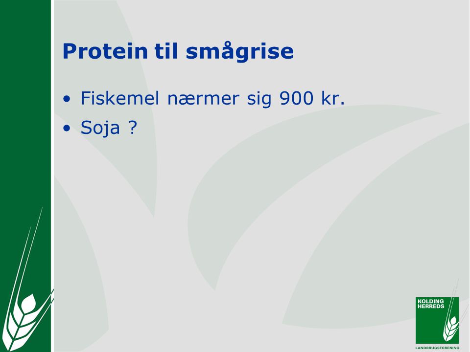 Protein til smågrise •Fiskemel nærmer sig 900 kr. •Soja