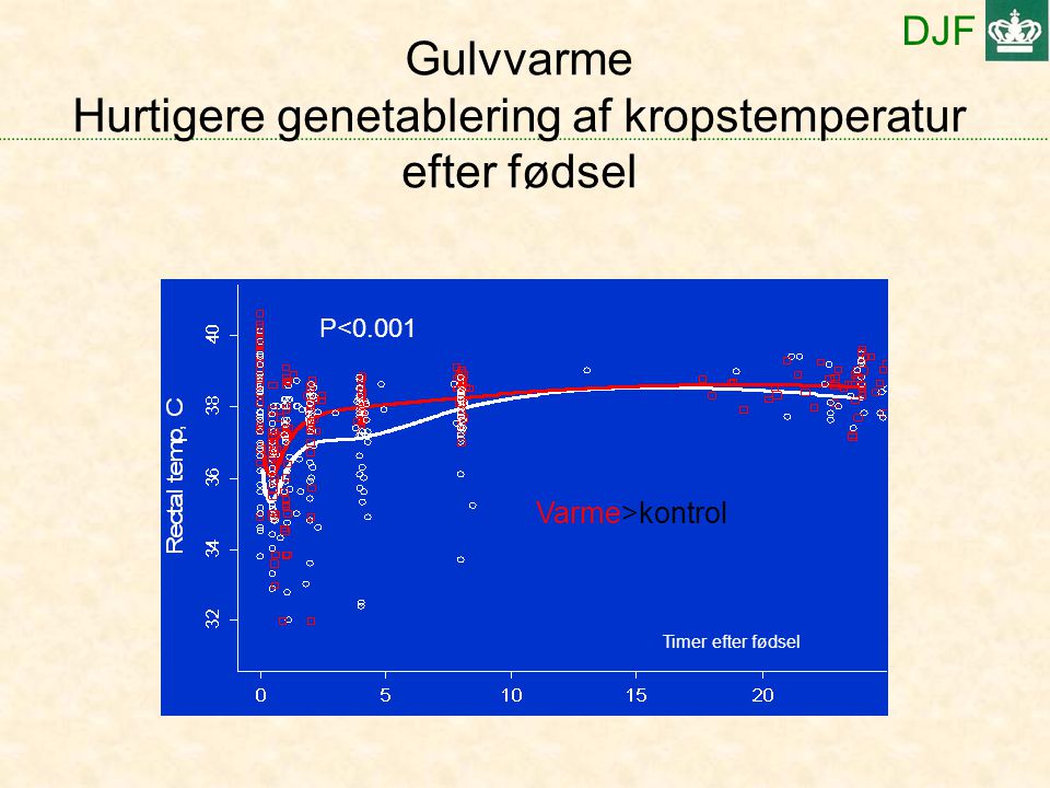 DJF Gulvvarme Hurtigere genetablering af kropstemperatur efter fødsel Timer efter fødsel Varme>kontrol P<0.001