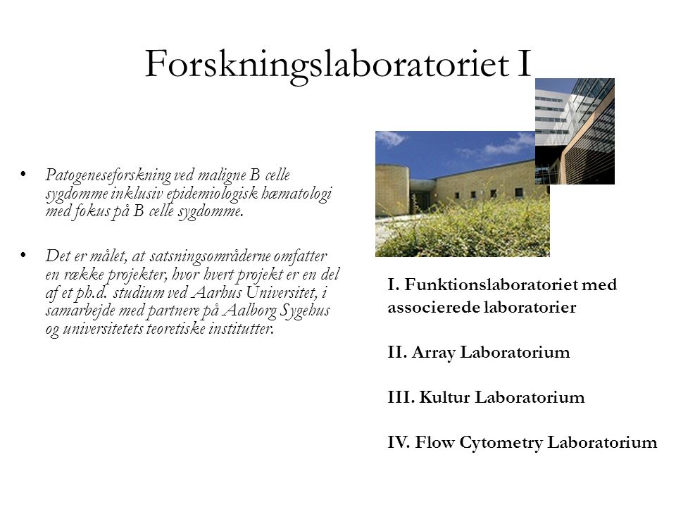 En Del Af Strategien For Hæmatologisk Afdelings Forskningsafsnit. - Ppt ...