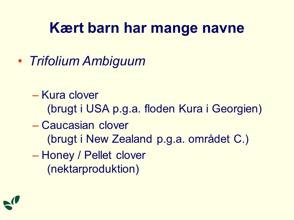 Kært barn har mange navne Trifolium Ambiguum –Kura clover (brugt i USA p.g.a.