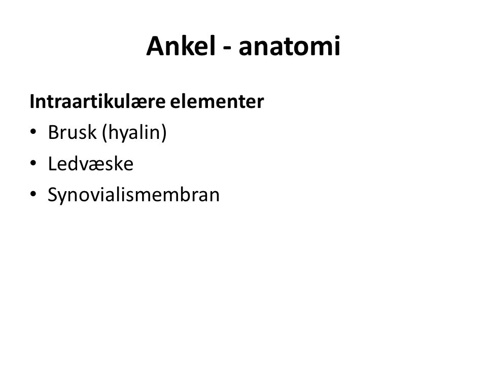 Ankel - anatomi Intraartikulære elementer Brusk (hyalin) Ledvæske Synovialismembran