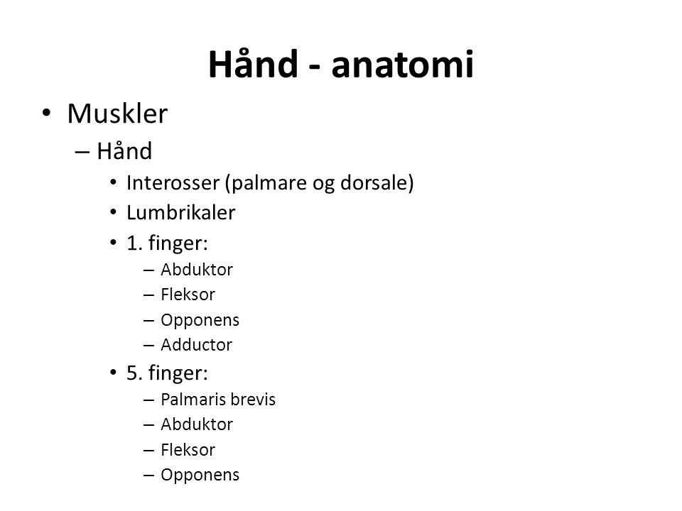 Hånd - anatomi Muskler – Hånd Interosser (palmare og dorsale) Lumbrikaler 1.