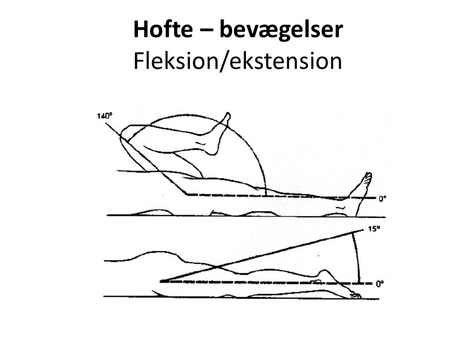 Hofte – bevægelser Fleksion/ekstension