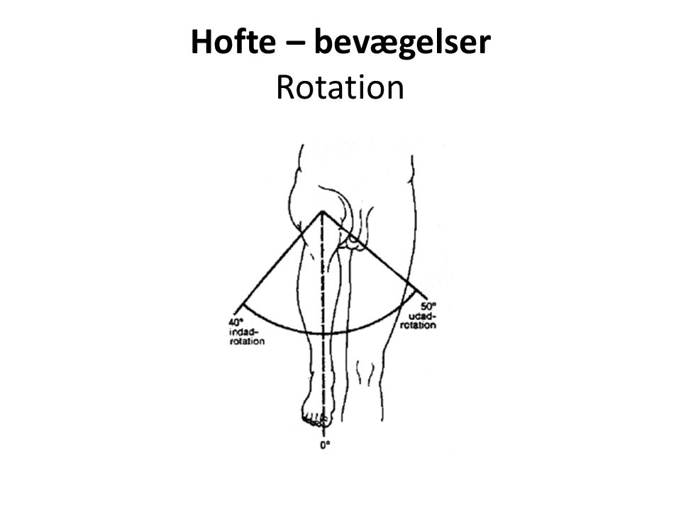 Hofte – bevægelser Rotation