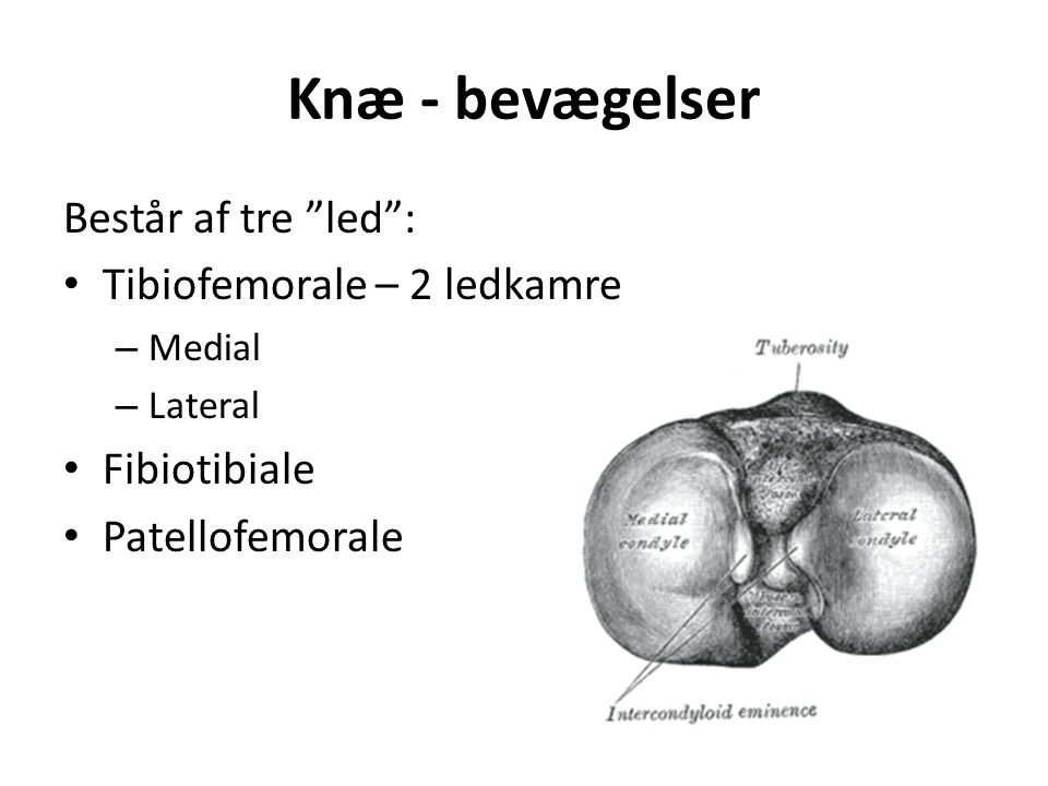 Knæ - bevægelser Består af tre led : Tibiofemorale – 2 ledkamre – Medial – Lateral Fibiotibiale Patellofemorale