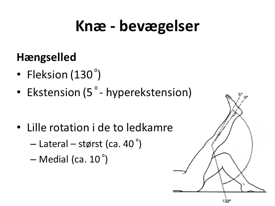Knæ - bevægelser Hængselled Fleksion (130 ⁰ ) Ekstension (5 ⁰ - hyperekstension) Lille rotation i de to ledkamre – Lateral – størst (ca.