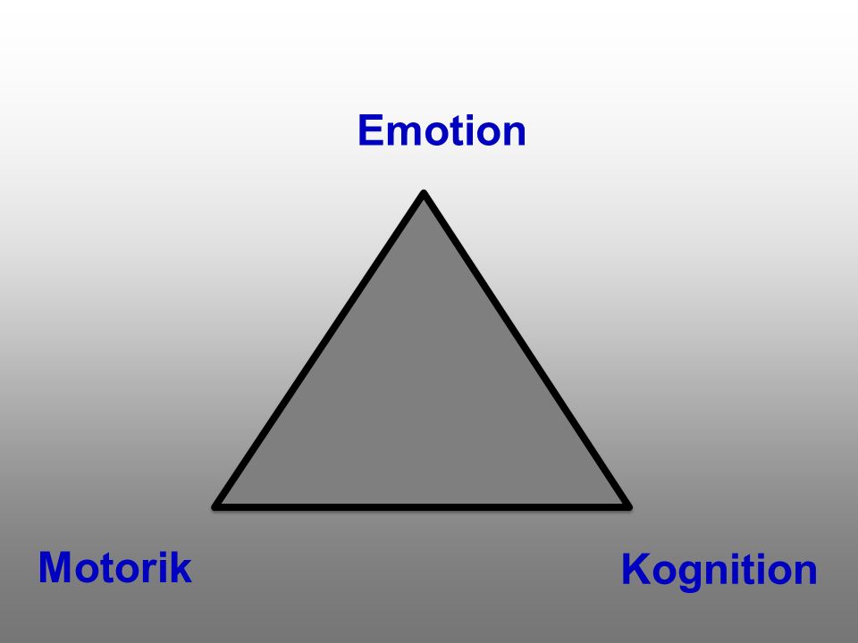 c c Kognition Motorik Emotion