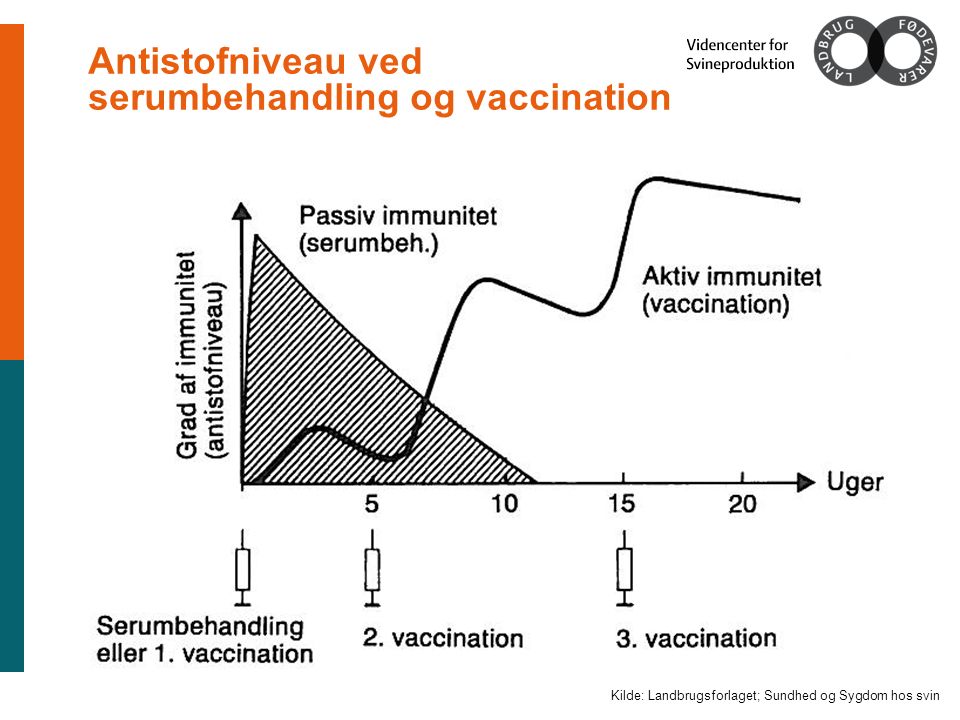 Antistofniveau ved serumbehandling og vaccination Kilde: Landbrugsforlaget; Sundhed og Sygdom hos svin
