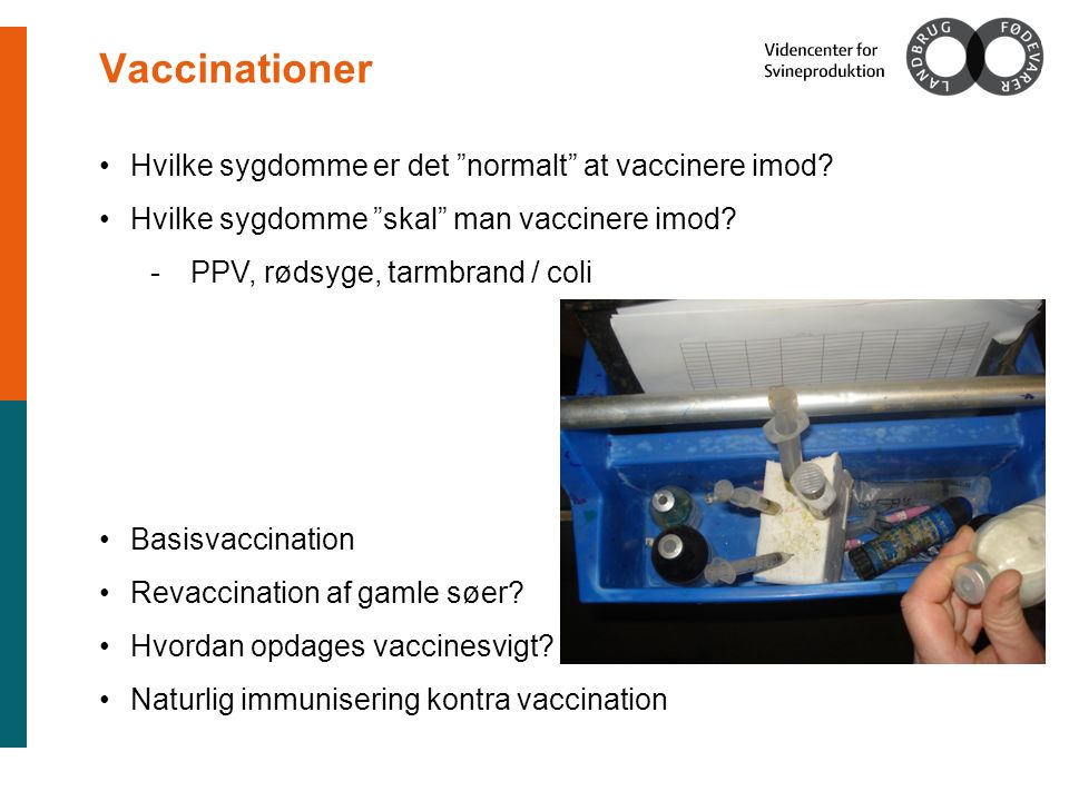 Vaccinationer Hvilke sygdomme er det normalt at vaccinere imod.