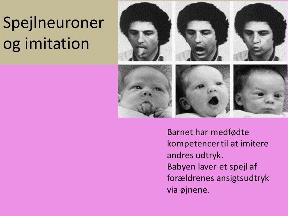 Spejlneuroner og imitation Barnet har medfødte kompetencer til at imitere andres udtryk.