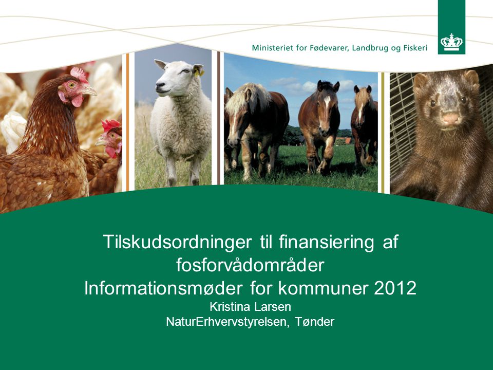 Tilskudsordninger til finansiering af fosforvådområder Informationsmøder for kommuner 2012 Kristina Larsen NaturErhvervstyrelsen, Tønder