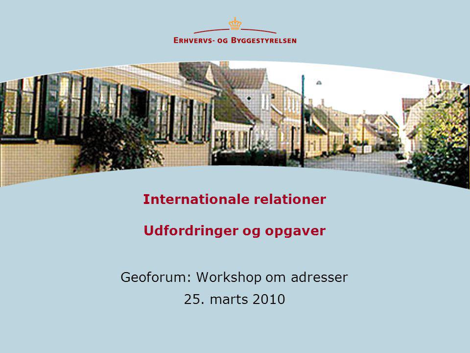Internationale relationer Udfordringer og opgaver Geoforum: Workshop om adresser 25. marts 2010
