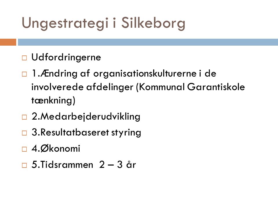 Ungestrategi i Silkeborg  Udfordringerne  1.Ændring af organisationskulturerne i de involverede afdelinger (Kommunal Garantiskole tænkning)  2.Medarbejderudvikling  3.Resultatbaseret styring  4.Økonomi  5.Tidsrammen 2 – 3 år
