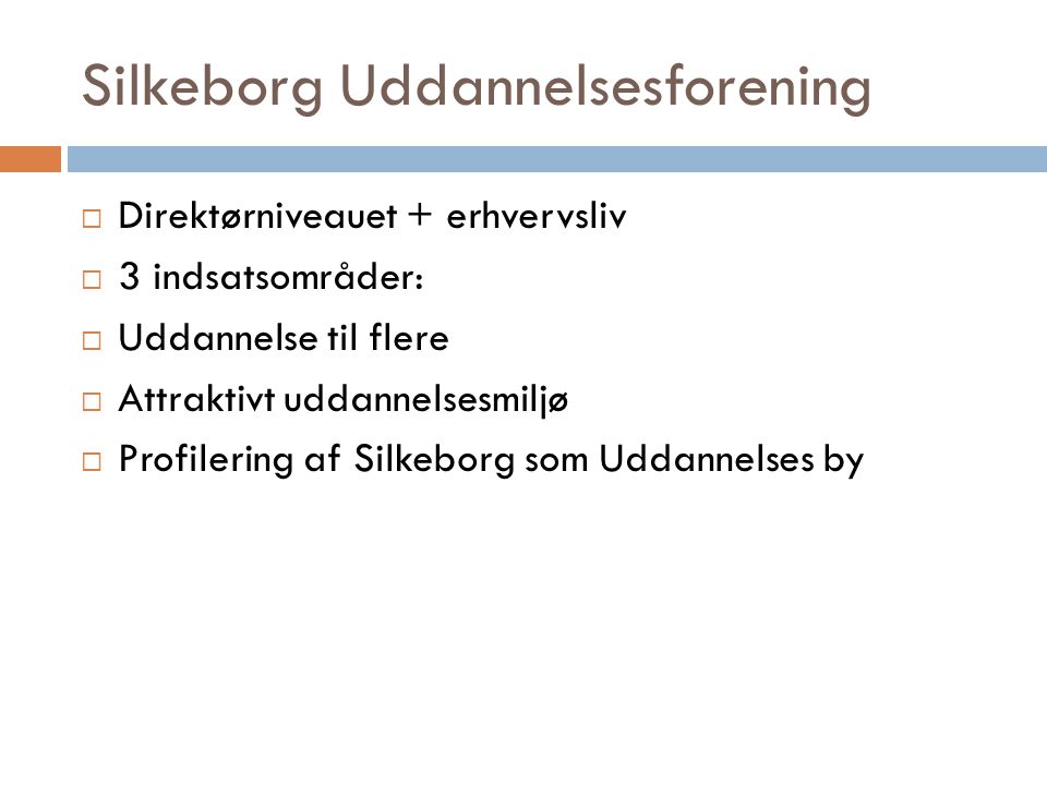 Silkeborg Uddannelsesforening  Direktørniveauet + erhvervsliv  3 indsatsområder:  Uddannelse til flere  Attraktivt uddannelsesmiljø  Profilering af Silkeborg som Uddannelses by