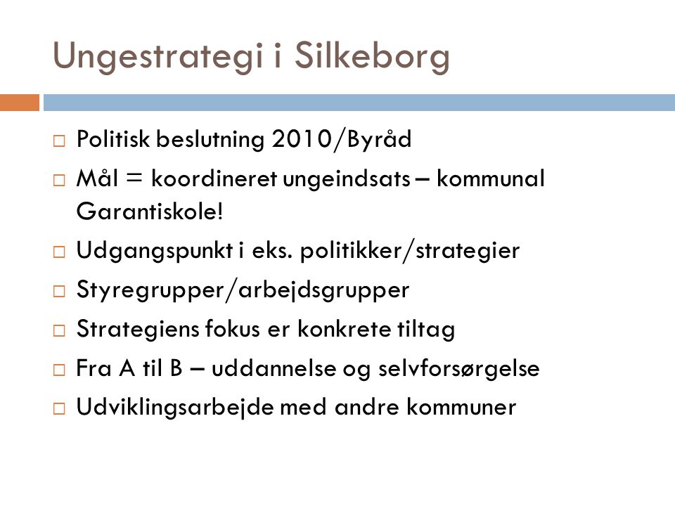 Ungestrategi i Silkeborg  Politisk beslutning 2010/Byråd  Mål = koordineret ungeindsats – kommunal Garantiskole.