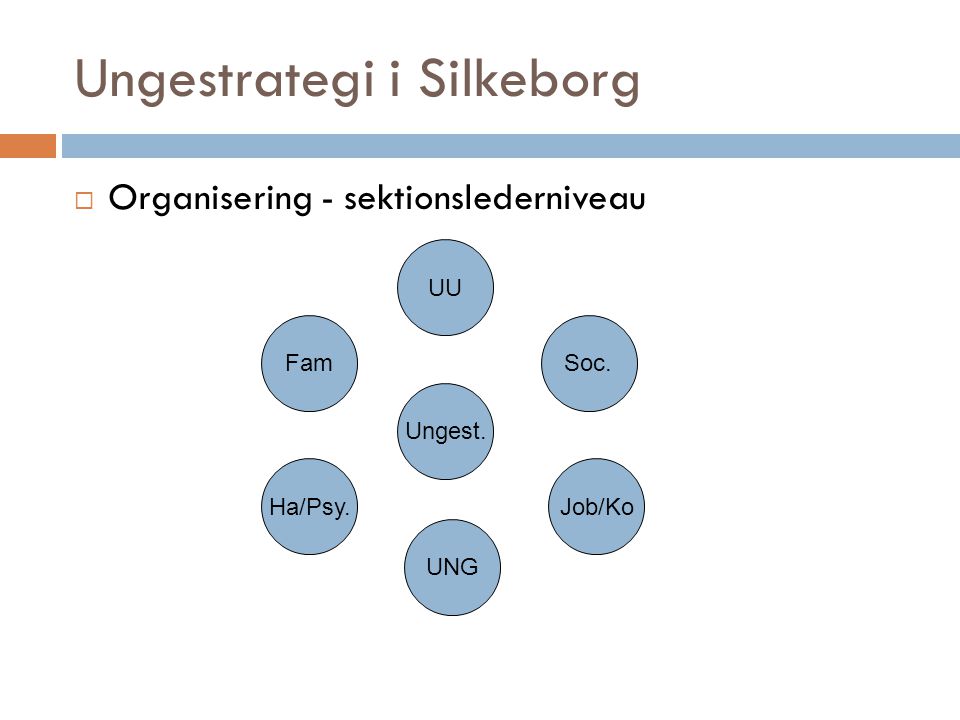 Ungestrategi i Silkeborg  Organisering - sektionslederniveau UU Fam Ha/Psy.