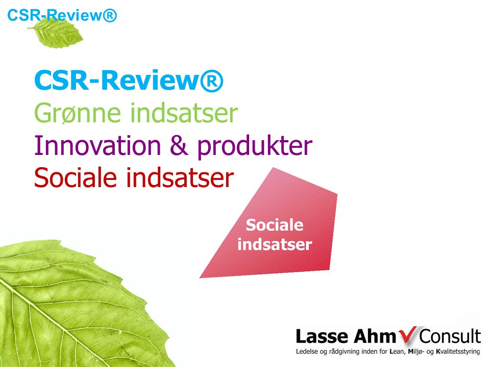 CSR-Review ® Grønne indsatser Innovation & produkter Sociale indsatser