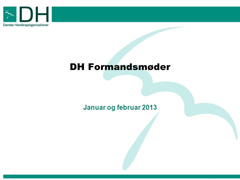 DH Formandsmøder Januar og februar 2013