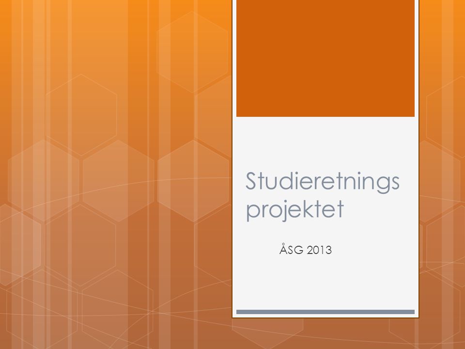 Studieretnings projektet ÅSG 2013