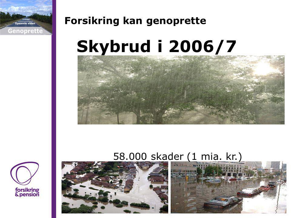 Forsikring kan genoprette Skybrud i 2006/ skader (1 mia. kr.)