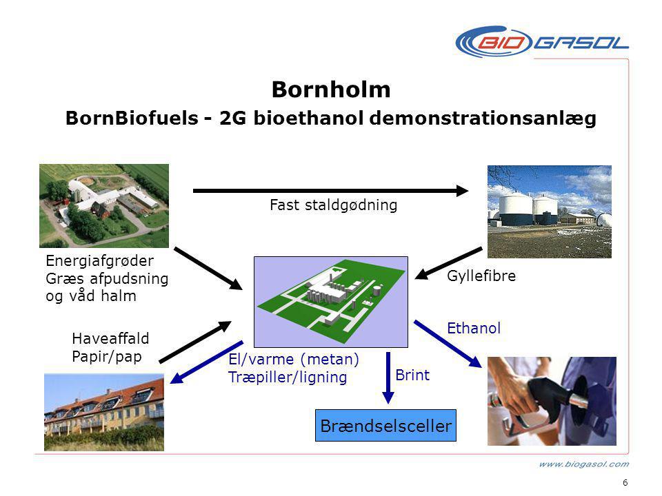 6 Bornholm BornBiofuels - 2G bioethanol demonstrationsanlæg Brændselsceller Gyllefibre Fast staldgødning Energiafgrøder Græs afpudsning og våd halm Haveaffald Papir/pap El/varme (metan) Træpiller/ligning Brint Ethanol