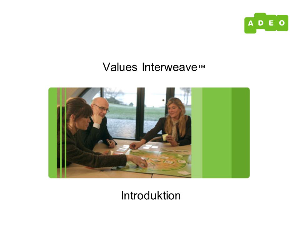 Introduktion Values Interweave ™
