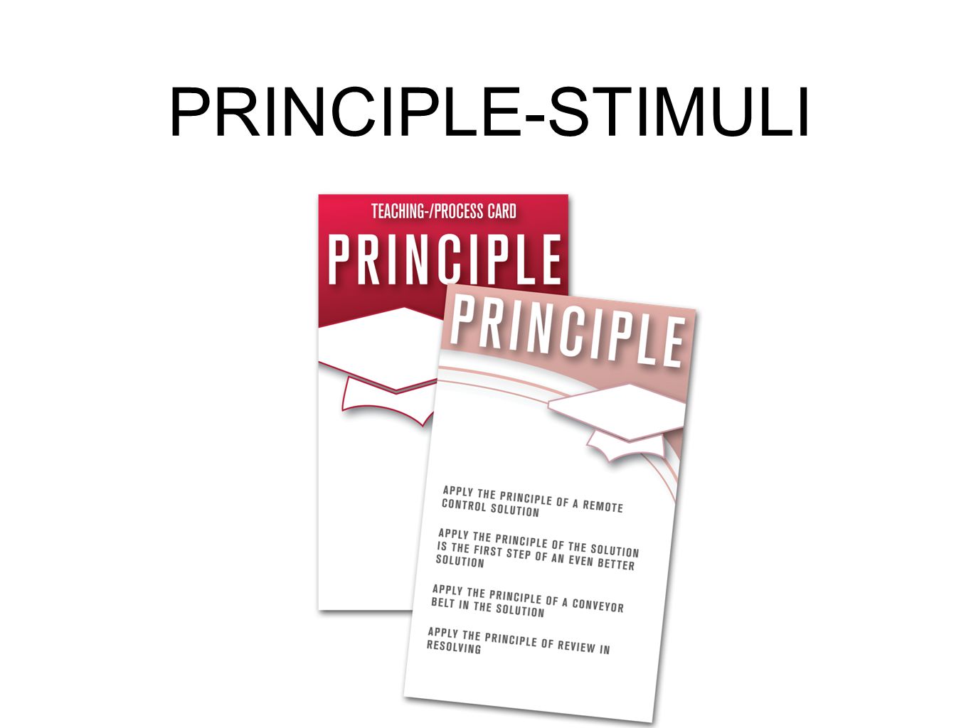 PRINCIPLE-STIMULI