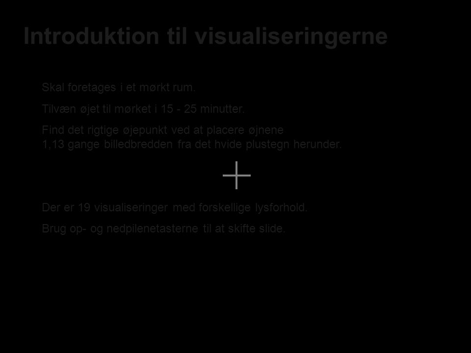 Introduktion til visualiseringerne Skal foretages i et mørkt rum.