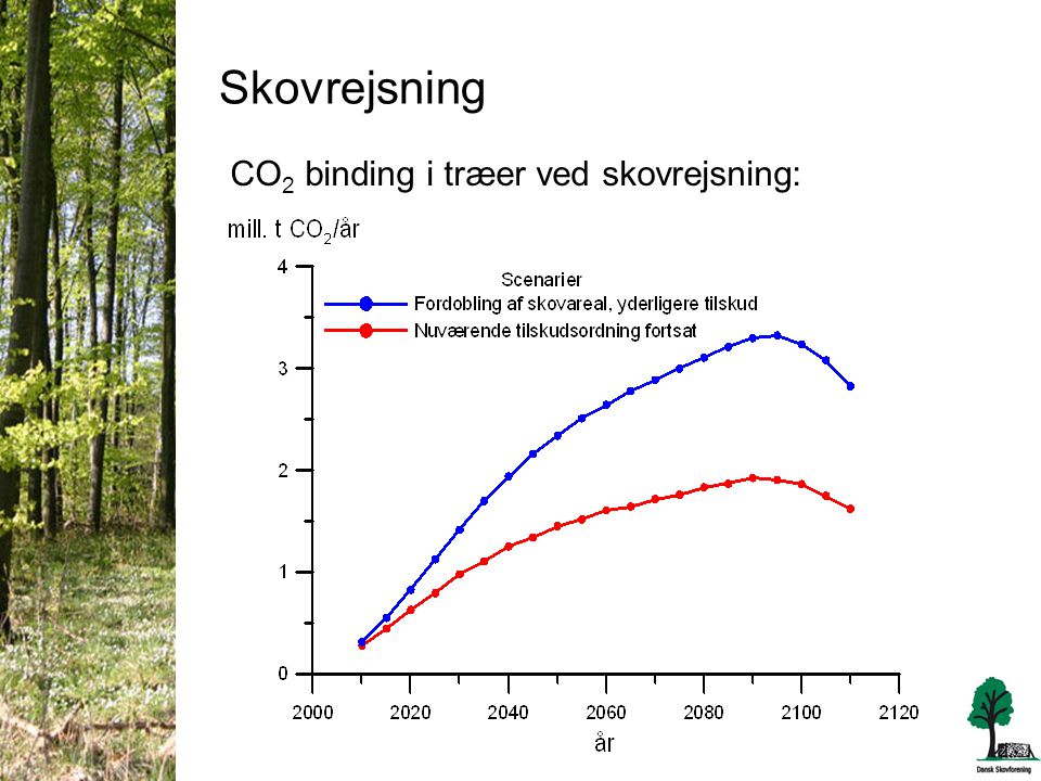 Skovrejsning CO 2 binding i træer ved skovrejsning: