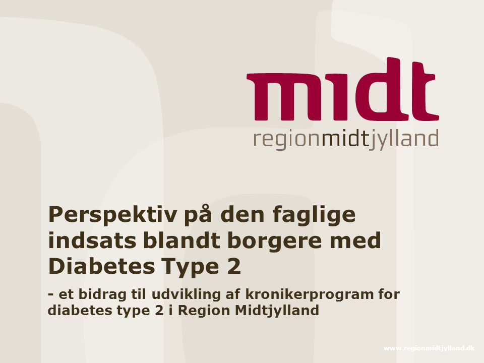 Perspektiv på den faglige indsats blandt borgere med Diabetes Type 2 - et bidrag til udvikling af kronikerprogram for diabetes type 2 i Region Midtjylland