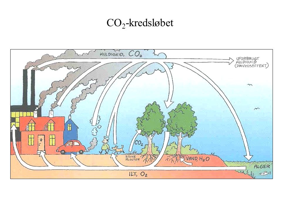 CO 2 -kredsløbet