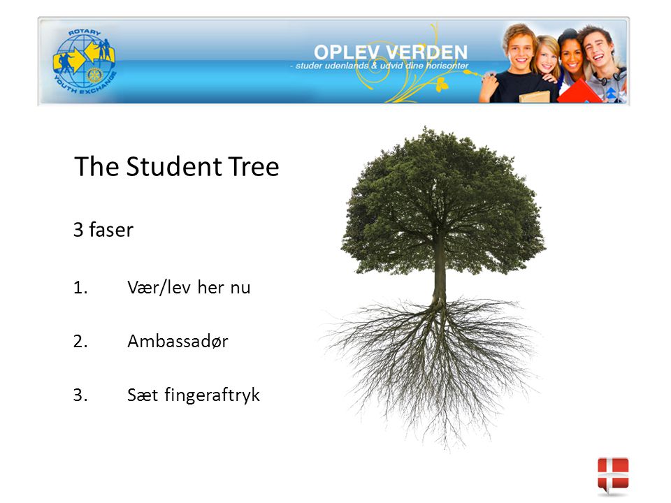 The Student Tree 3 faser 1.Vær/lev her nu 2.Ambassadør 3.Sæt fingeraftryk