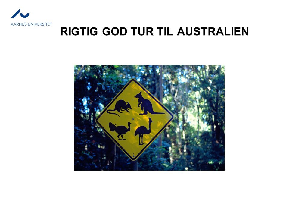 RIGTIG GOD TUR TIL AUSTRALIEN