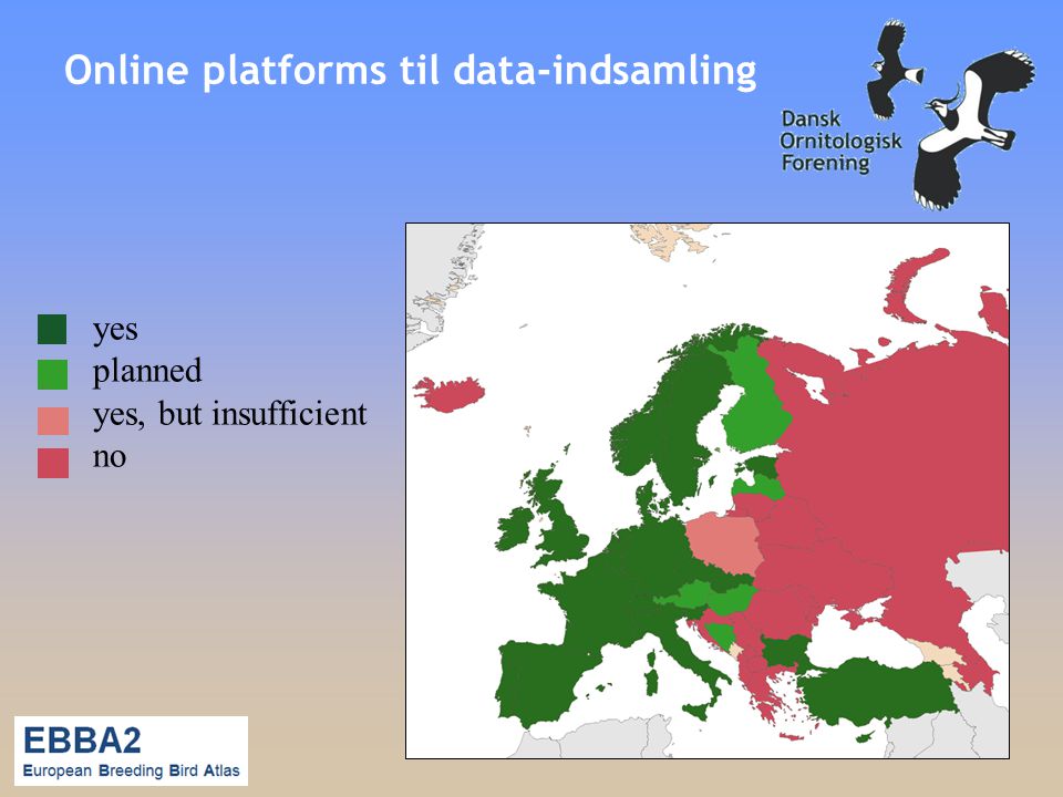 Online platforms til data-indsamling yes planned yes, but insufficient no