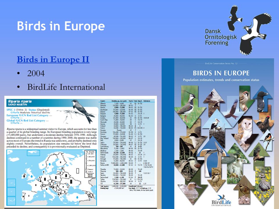Birds in Europe Birds in Europe II •2004 •BirdLife International