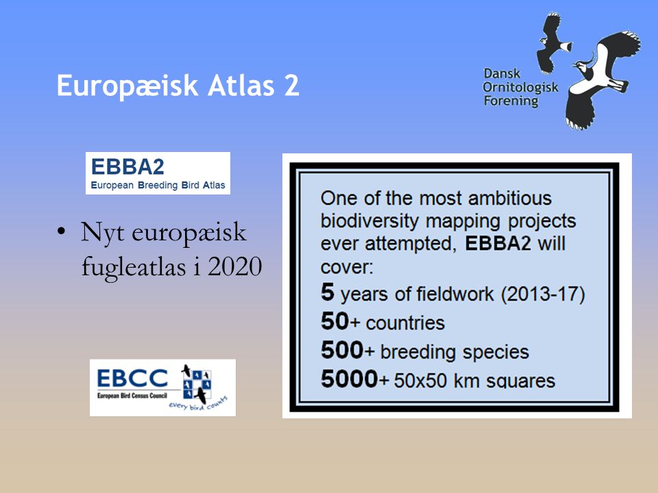 Europæisk Atlas 2 •Nyt europæisk fugleatlas i 2020
