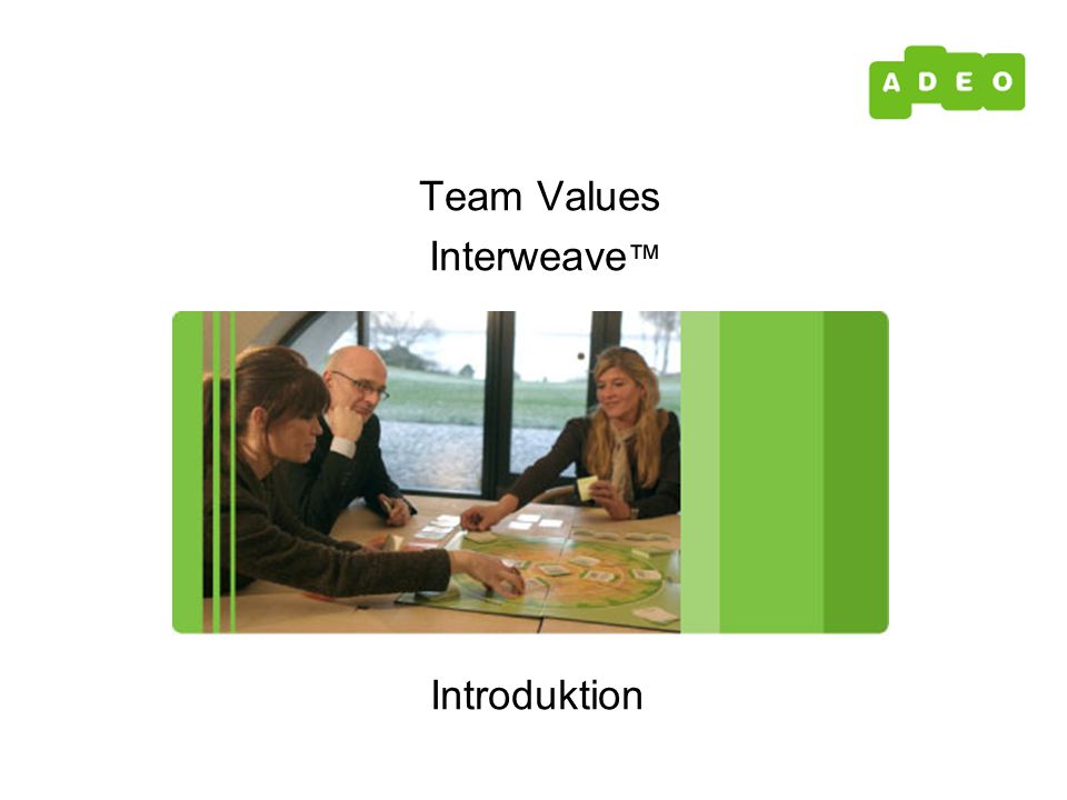 Introduktion Team Values Interweave ™