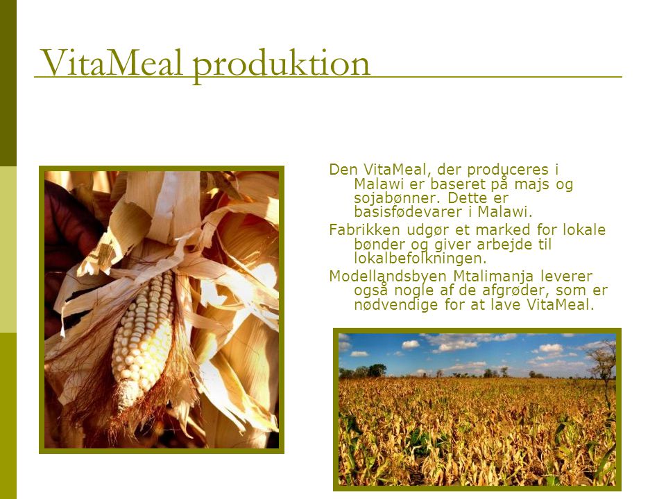 Den VitaMeal, der produceres i Malawi er baseret på majs og sojabønner.