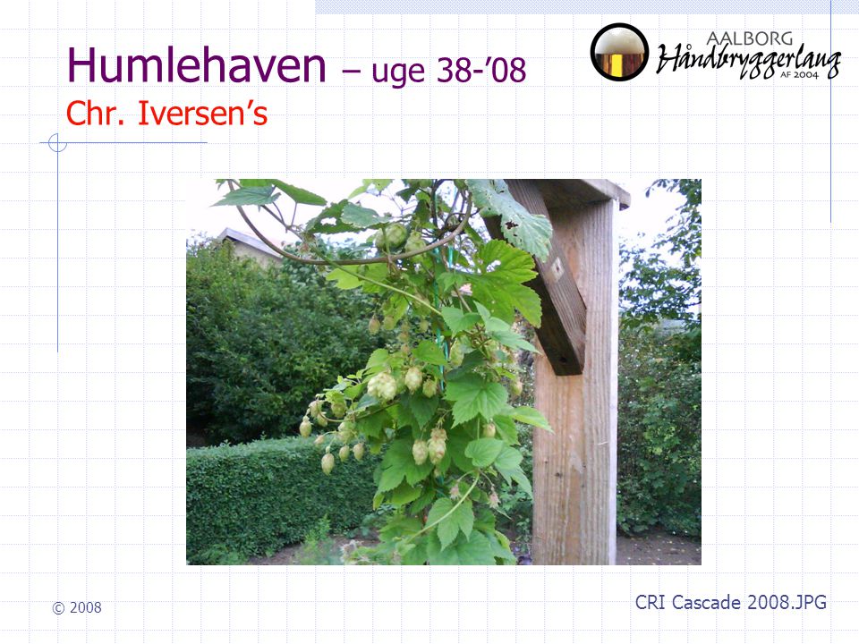 © 2008 Humlehaven – uge 38-’08 Chr. Iversen’s CRI Cascade 2008.JPG