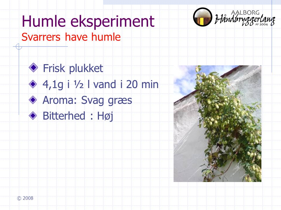© 2008 Humle eksperiment Svarrers have humle Frisk plukket 4,1g i ½ l vand i 20 min Aroma: Svag græs Bitterhed : Høj