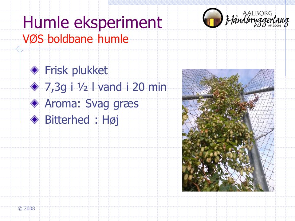 © 2008 Humle eksperiment VØS boldbane humle Frisk plukket 7,3g i ½ l vand i 20 min Aroma: Svag græs Bitterhed : Høj