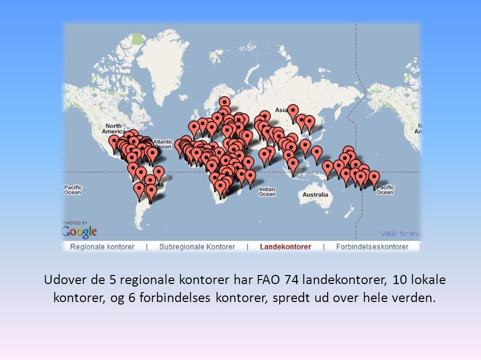 Udover de 5 regionale kontorer har FAO 74 landekontorer, 10 lokale kontorer, og 6 forbindelses kontorer, spredt ud over hele verden.