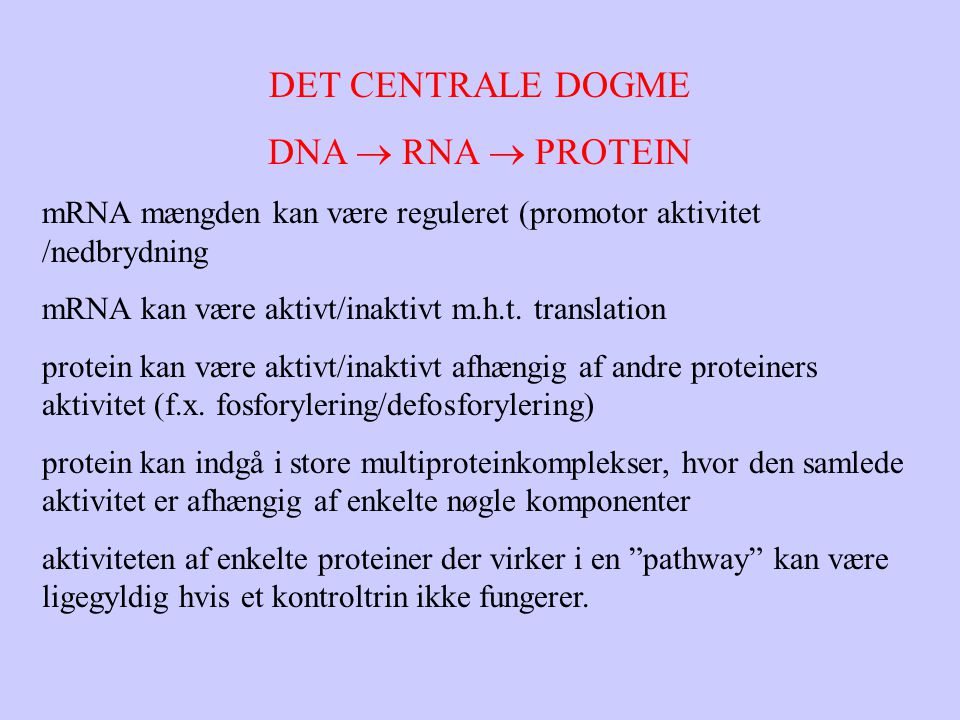DET CENTRALE DOGME DNA  RNA  PROTEIN mRNA mængden kan være reguleret (promotor aktivitet /nedbrydning mRNA kan være aktivt/inaktivt m.h.t.