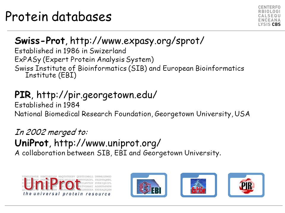 Protein databases Swiss-Prot,   Established in 1986 in Swizerland ExPASy (Expert Protein Analysis System) Swiss Institute of Bioinformatics (SIB) and European Bioinformatics Institute (EBI) PIR,   Established in 1984 National Biomedical Research Foundation, Georgetown University, USA In 2002 merged to: UniProt,   A collaboration between SIB, EBI and Georgetown University.