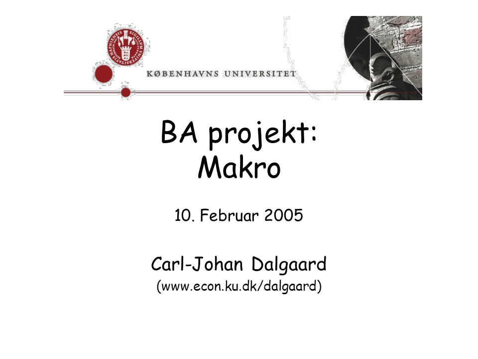BA projekt: Makro 10. Februar 2005 Carl-Johan Dalgaard (