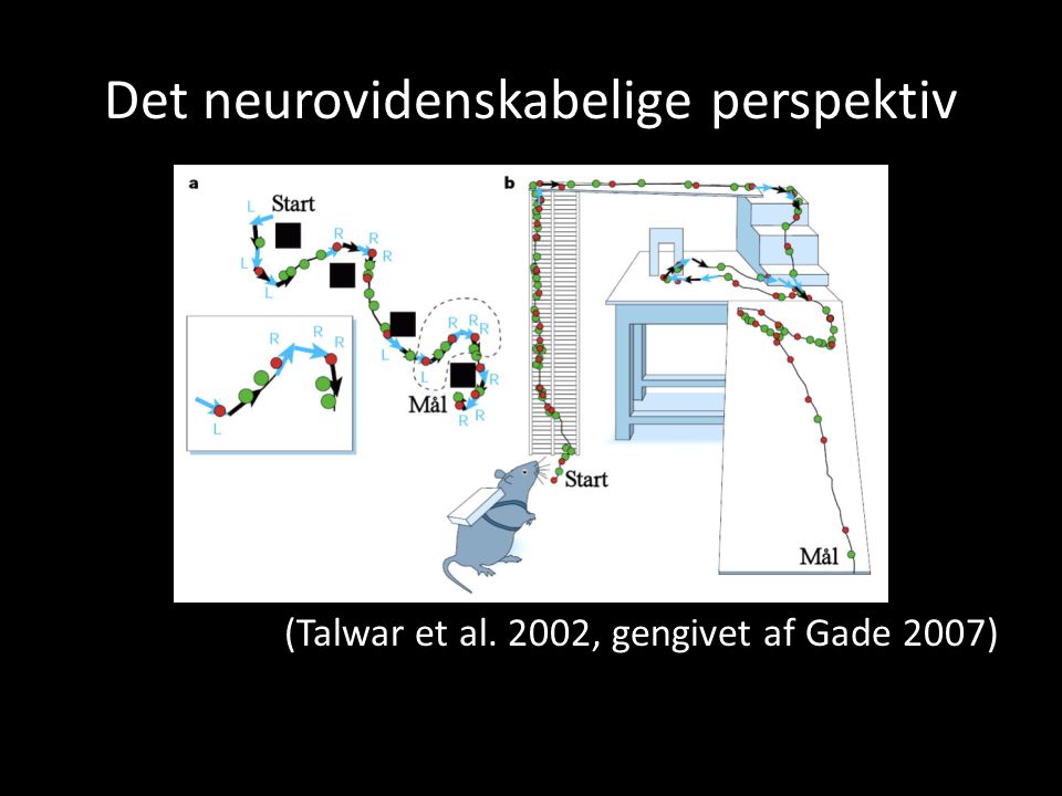 Det neurovidenskabelige perspektiv (Talwar et al. 2002, gengivet af Gade 2007)